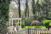 Backyard Transformation: Unveiling the Progress