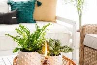 Your Guide to a Bug-Free Outdoor Oasis
