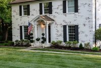 From Patchy to Pristine: Our Year-Long Lawn Makeover