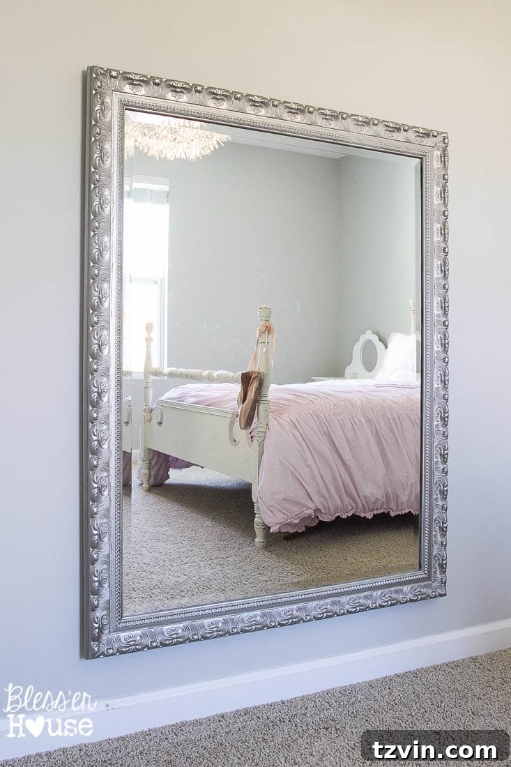 Happy with the mirror installation!