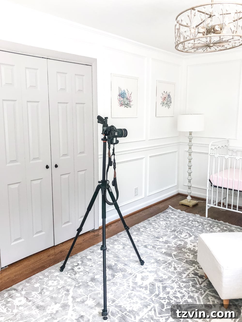 Your Gateway to Blogging 9 camera photographing a room - how to become a blogger