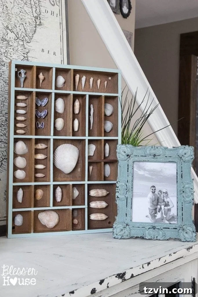 Completed DIY seashell printer tray shadow box as part of a coastal vignette in home decor. Perfect for displaying beach souvenirs.