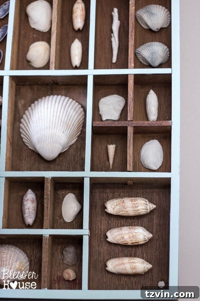 Coastal living room decor featuring a DIY seashell printer tray shadow box and an oversized vintage map. Beach-themed home accessories.