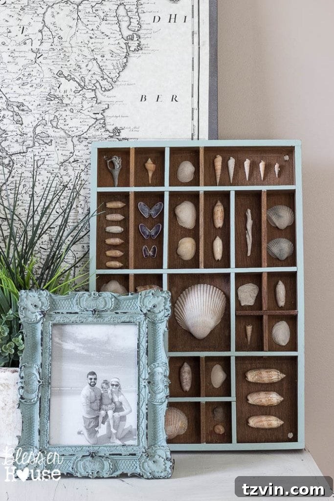 Assorted seashells and natural elements arranged in a printer tray, creating a unique coastal shadow box display. DIY craft inspiration.