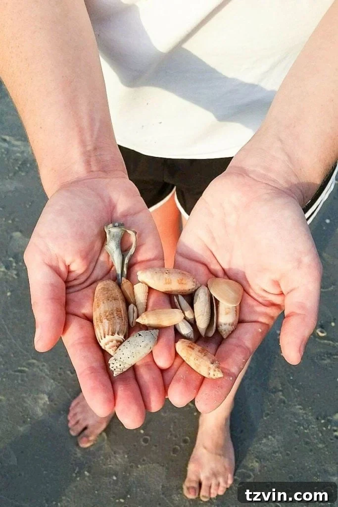 Beach treasures displayed in a unique DIY seashell printer tray shadow box. This coastal craft project brings the serenity of the ocean into your home decor.
