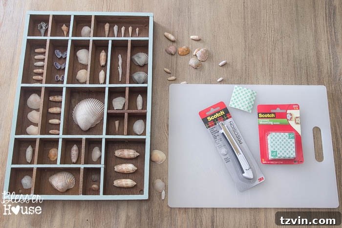 Applying Scotch mounting squares to the back of seashells for a DIY printer tray shadow box. Easy craft steps for coastal decor.