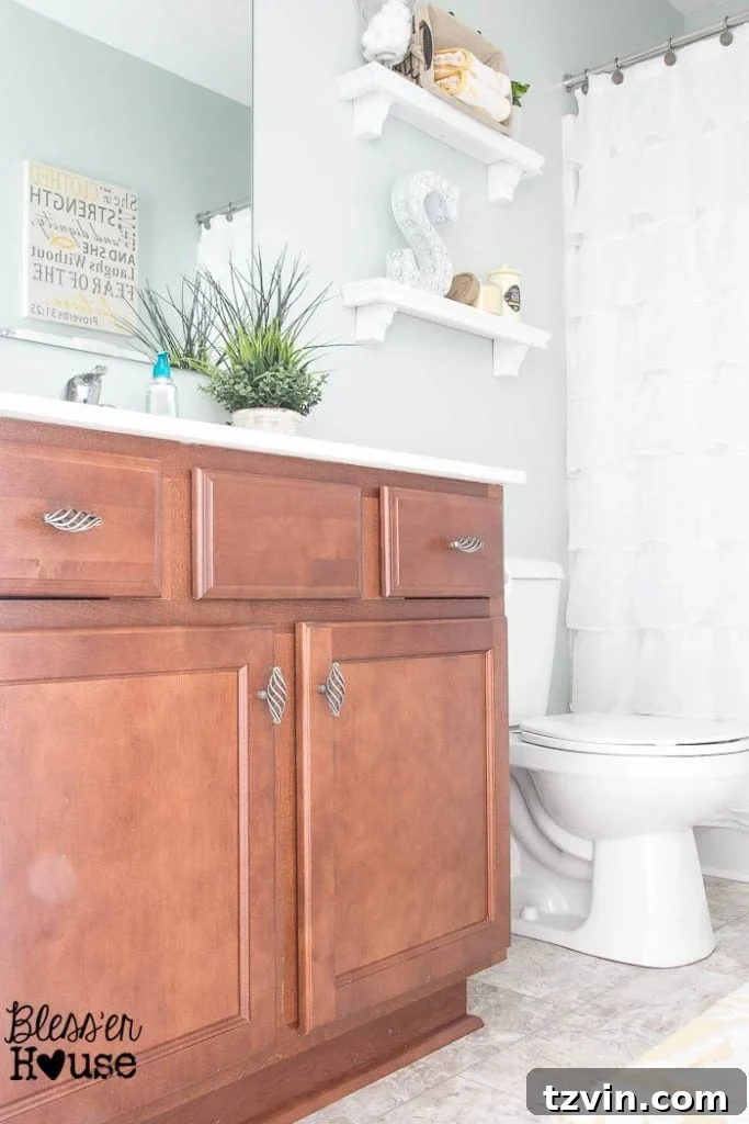 Hall bathroom makeover plans focusing on transforming the existing cabinets with paint