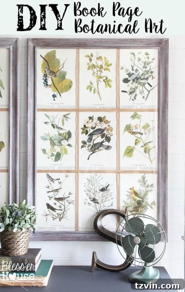 Botanical Blooms from Book Pages 2 DIY Book Page Botanical Art featuring a limewash frame for budget-friendly home decor