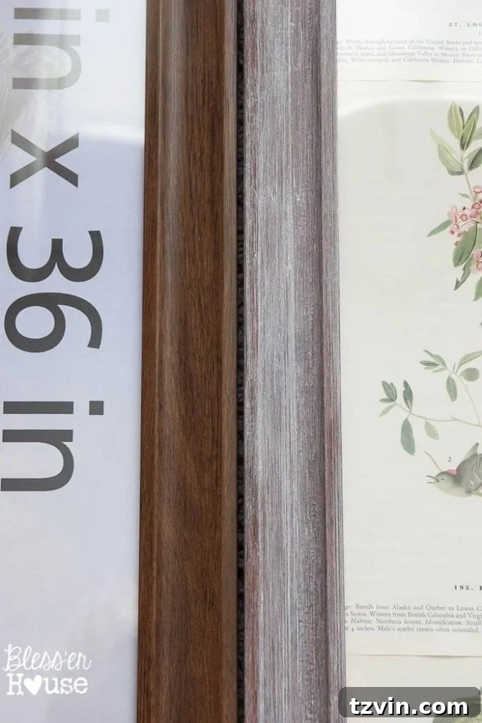 Botanical Blooms from Book Pages 6 Before and after comparison of limewash technique on wood frame