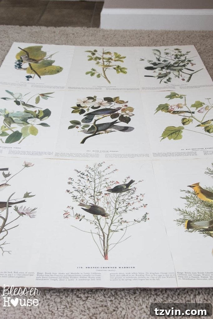 Botanical Blooms from Book Pages 9 Applying spray adhesive to vintage book pages for wall art