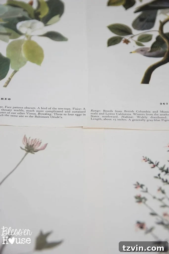 Botanical Blooms from Book Pages 10 Visible edges of book pages before adding ribbon overlay