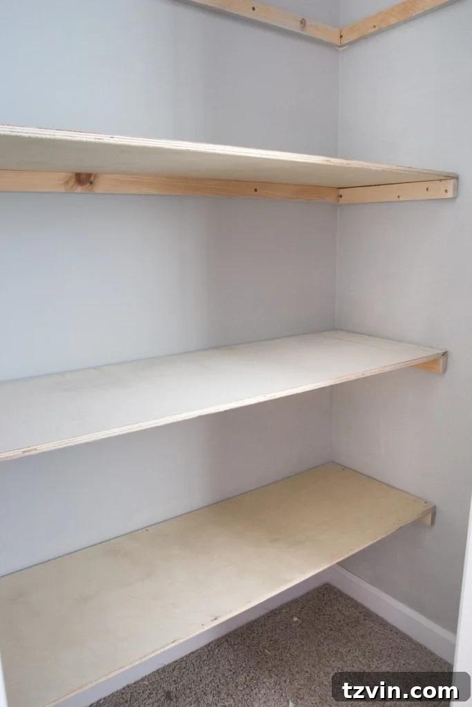 Plywood shelf being screwed into place on top of the 1x2 furring strip supports, completing the basic structure of the DIY closet shelving. This image shows the final assembly step before finishing.