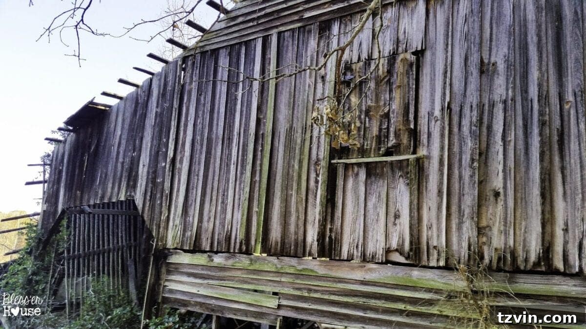 The rustic interior of an old barn, filled with various vintage items and tools, representing a rich source of reclaimed materials for DIY projects.