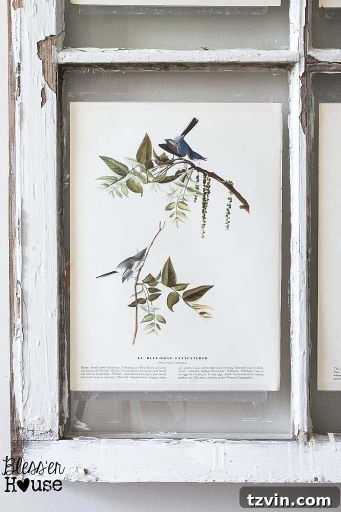 A close-up of the upcycled window frame, now featuring a botanical print taped to one of its panes, showcasing the simple yet elegant transformation.