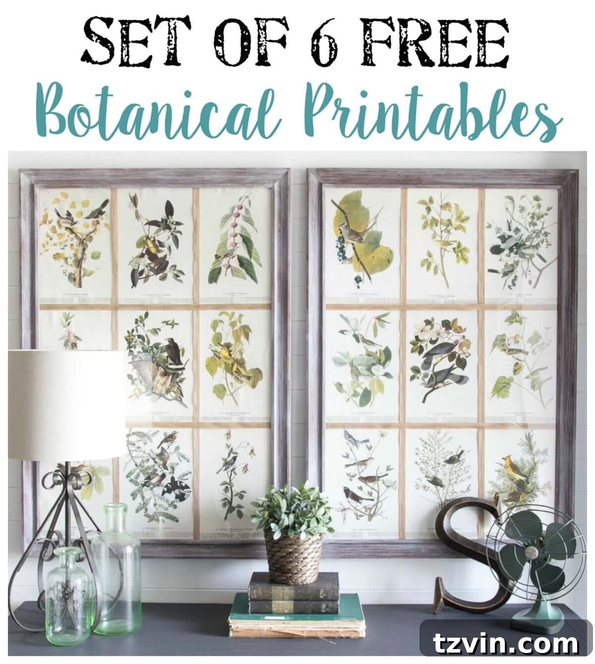 A collection of framed botanical prints, showcasing how this artistic theme can be extended throughout a home's decor, perhaps in a foyer.