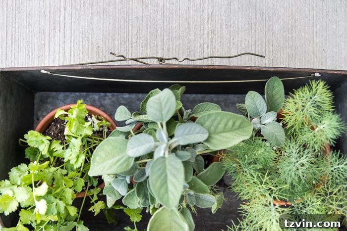 Damage-Free Ways to Hang Decor on Siding 4 How to Hang Decor on Siding With No Damage | blesserhouse.com - Good tip for making outdoor siding look not so naked!