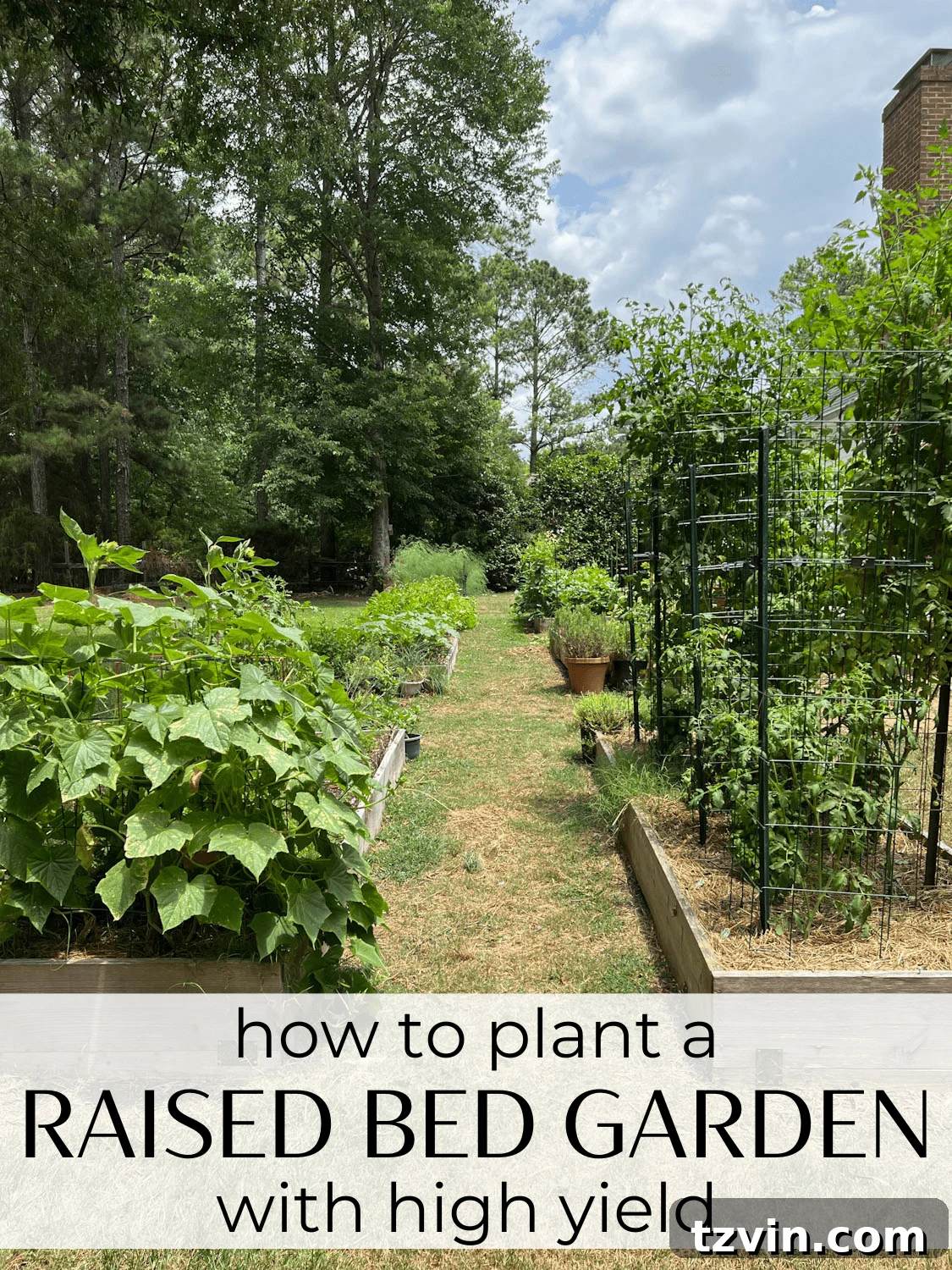 Raised Bed Revolution: Achieving Abundant Vegetable Harvests 2 The tricks and secrets for how to plant a raised bed vegetable garden with high yield. A master gardener shares his best tips.