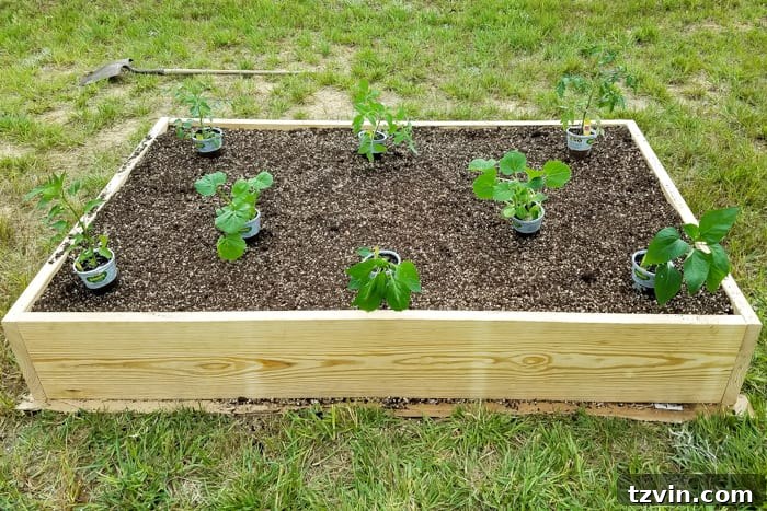 Raised Bed Revolution: Achieving Abundant Vegetable Harvests 13 planning plant placements for preparing a raised bed vegetable garden frame