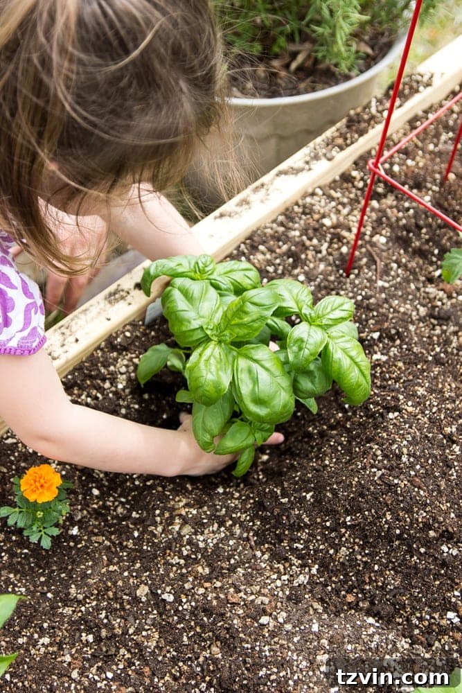 Raised Bed Revolution: Achieving Abundant Vegetable Harvests 15 little girl planting basil in a backyard garden