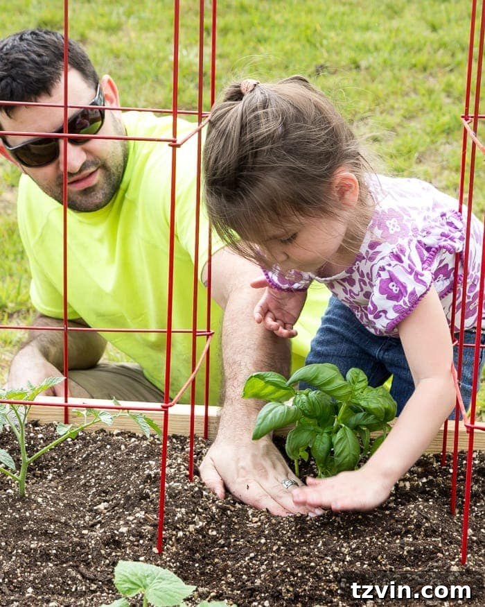 Raised Bed Revolution: Achieving Abundant Vegetable Harvests 16 little girl and father planting basil in a backyard garden
