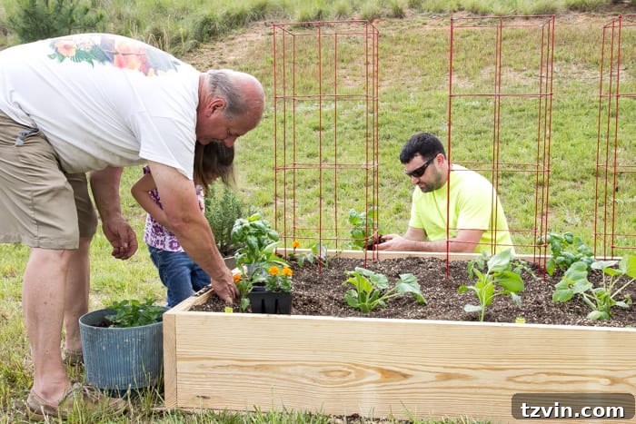 Raised Bed Revolution: Achieving Abundant Vegetable Harvests 17 little girl, father, and grandfather planting vegetable plants
