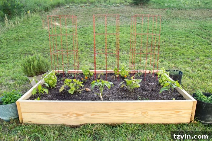 Raised Bed Revolution: Achieving Abundant Vegetable Harvests 18 a newly built raised bed vegetable garden in a backyard