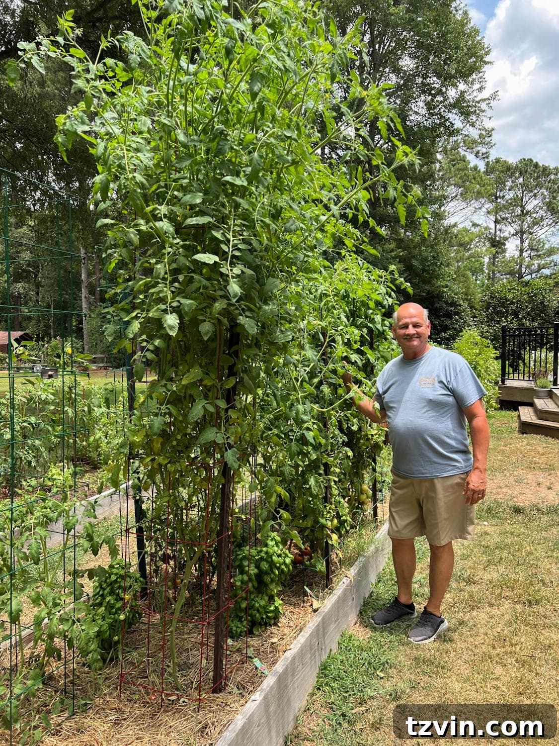 Raised Bed Revolution: Achieving Abundant Vegetable Harvests 3 man standing next to a a 12 feet tall raised bed vegetable garden