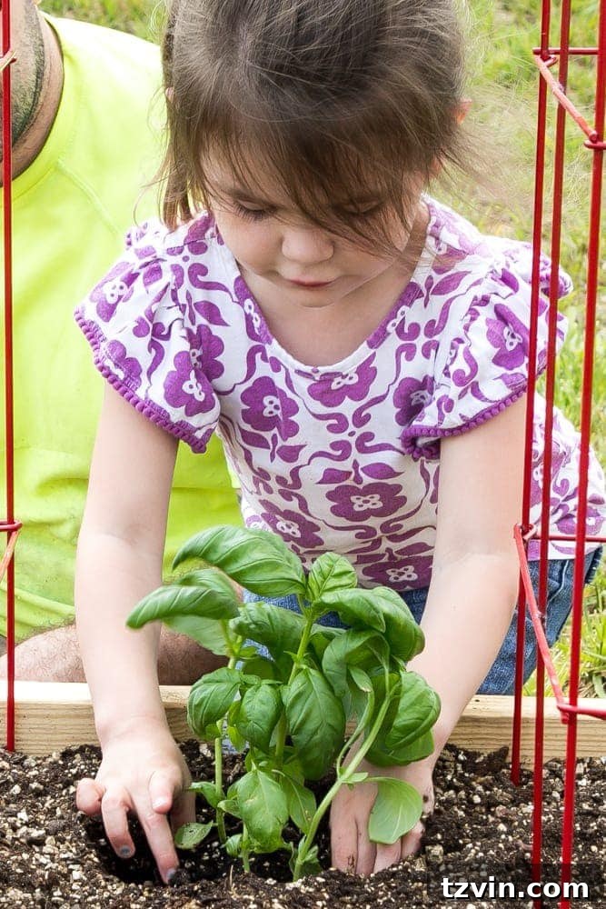 Raised Bed Revolution: Achieving Abundant Vegetable Harvests 4 little girl planting basil in a raised bed vegetable garden