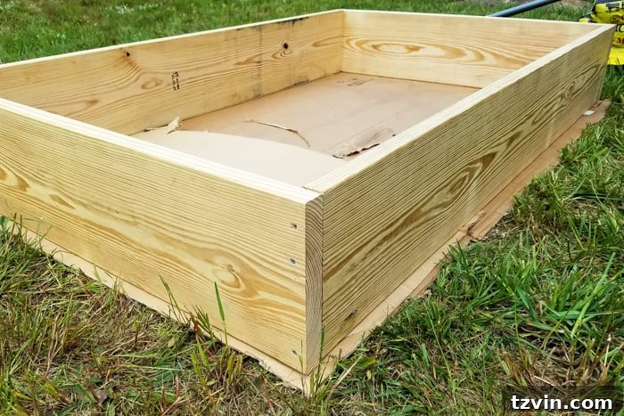 Raised Bed Revolution: Achieving Abundant Vegetable Harvests 10 laying cardboard in the base of a raised bed vegetable garden frame