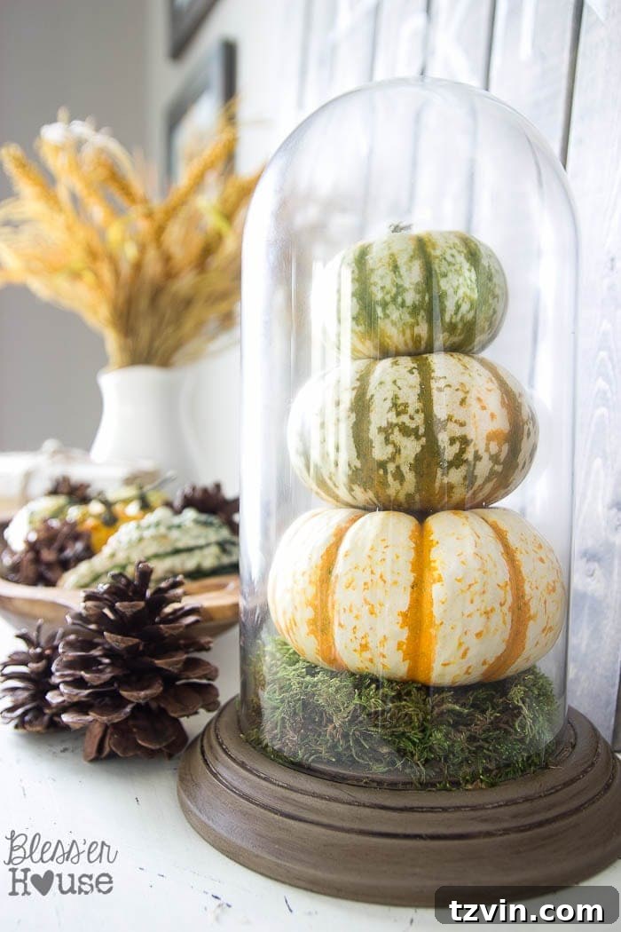 10 Thrift Store Gems You Should Always Seek Out 5 DIY cloches from thrifted dome clocks for seasonal home decor.