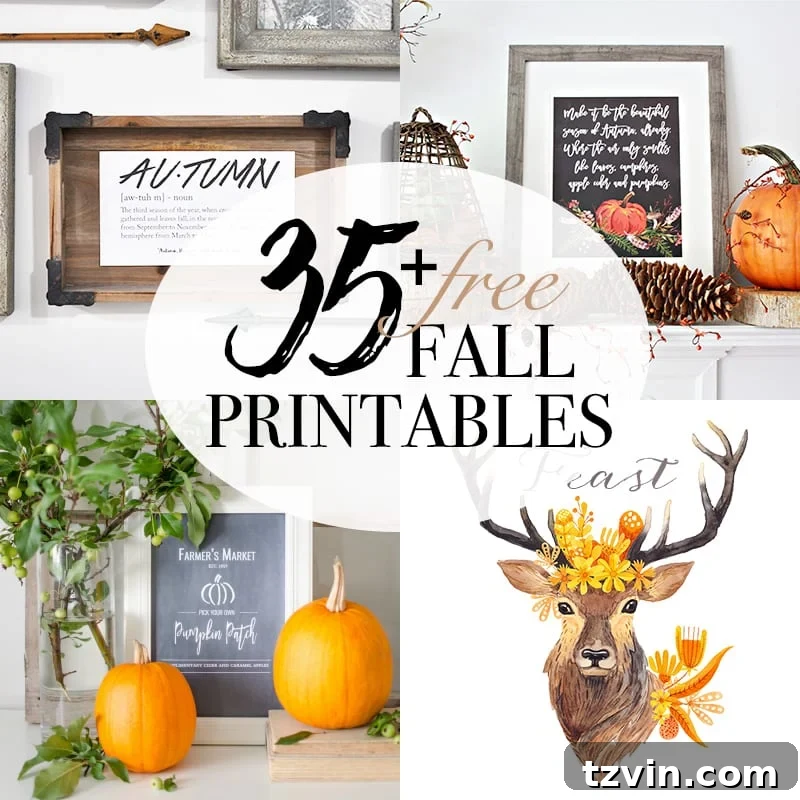 Halloween Entryway, Dictionary Art, Potion Printables + 35 Free Fall Printables | blesserhouse.com