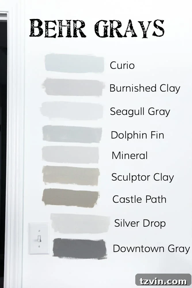 Navigating the Nuances of Gray Paint 5 Testing multiple gray paint samples on walls. A visual guide demonstrating the importance of paint samples to see true colors and undertones before committing to a full room paint job.