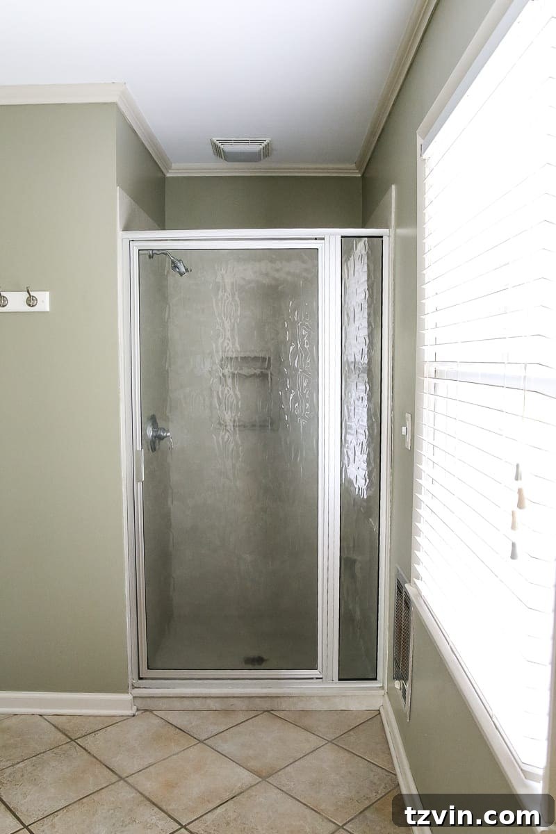 New House Interior Blank Slate Tour 25 Master Bathroom Renovation - Shower Door and Cabinet Paint Ideas
