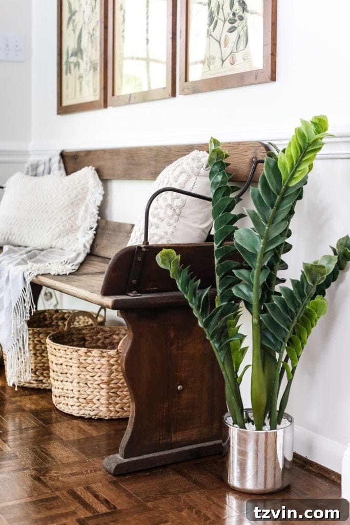 Elevate Your Walls with Printable Botany Art and a Clever Hanging Hack 2 Stunning Botany Printable Art perfect for Spring and Summer home decor. Learn a wall decor hanging hack for quick and easy frame installation.