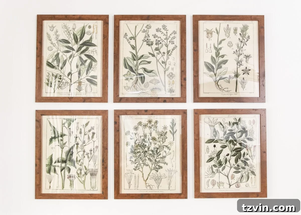 Elevate Your Walls with Printable Botany Art and a Clever Hanging Hack 11 Botanical printable art, an easy wall decor hack, and styled entryway decor for a chic home.