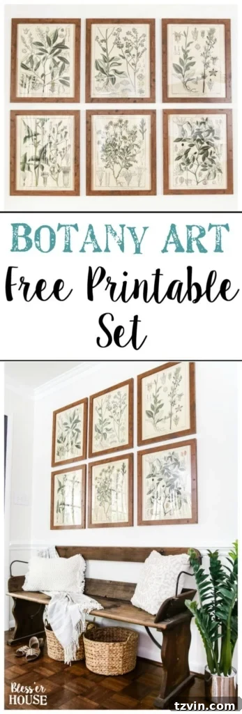 Elevate Your Walls with Printable Botany Art and a Clever Hanging Hack 12 Pin this post: Free Botanical Printable Art for Spring & Summer Home Decor.