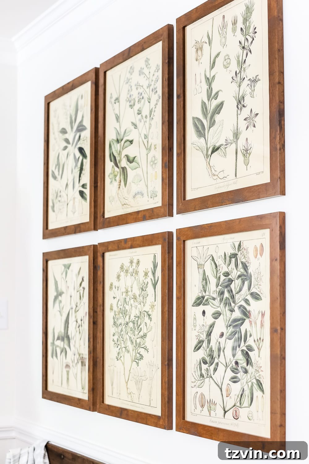 A Modern French Farmhouse Summer Retreat 12 Botany Printable Art in Modern French Farmhouse Style - A summer home tour featuring modern French farmhouse style, inexpensive decorating tricks, and ways to make your home look luxurious on a budget.