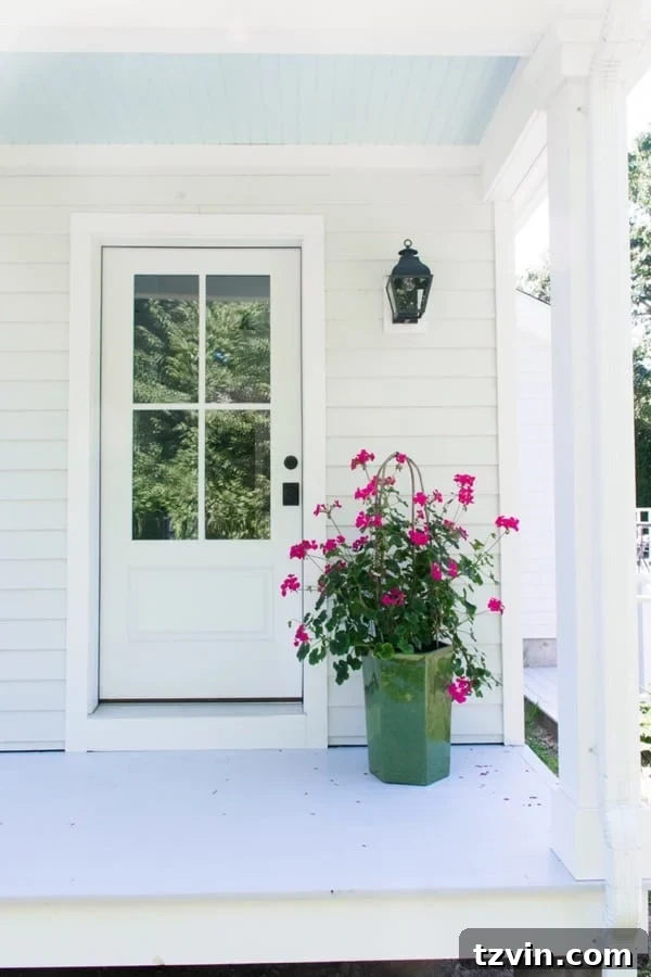 side porch with blue ceiling