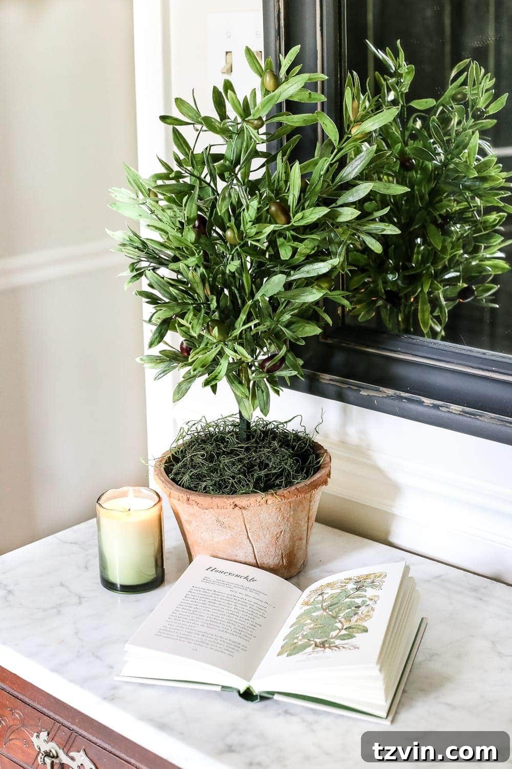 Craft Your Own Olive Topiary 9 DIY Olive Topiary Trees | blesserhouse.com - A 10 minute craft tutorial for how to make an olive topiary tree (or any kind of topiary) inexpensively + 11 DIY summer decor ideas.