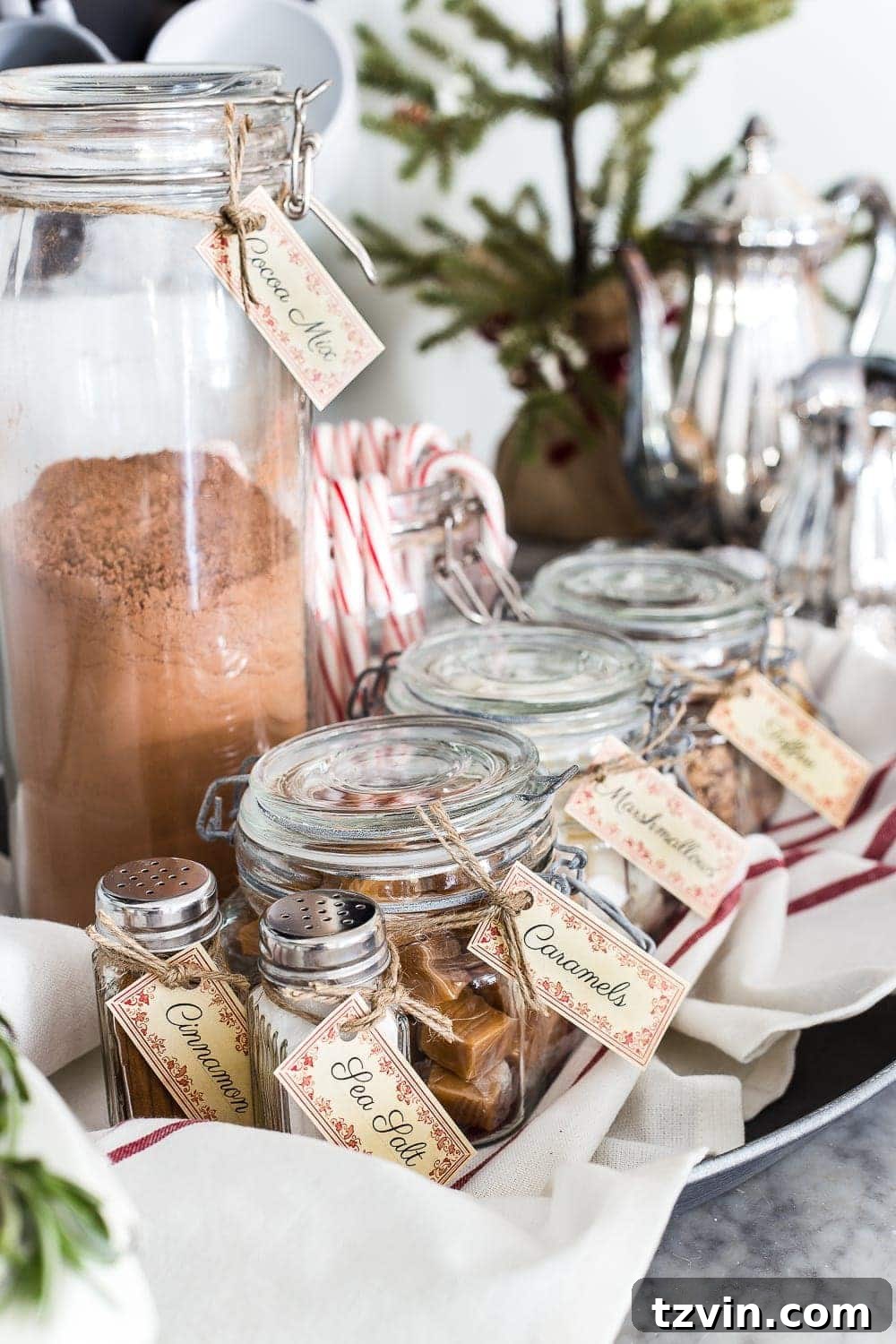 Hot Cocoa Bar Decorations