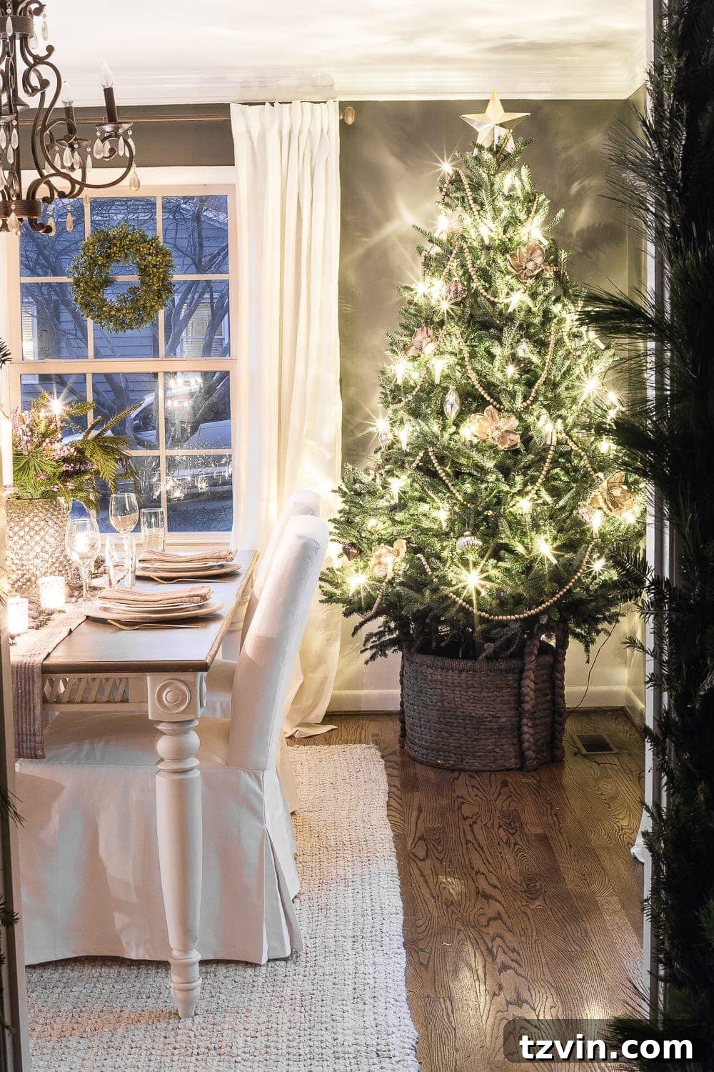 real christmas tree at night