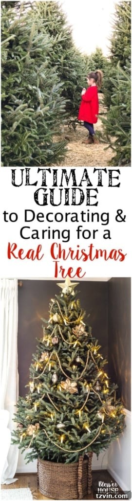 The Ultimate Guide to Decorating and Caring for a Real Christmas Tree | blesserhouse.com - A step-by-step guide for decorating a real Christmas tree like a pro and how to take care of it to make it last throughout the holiday season. #realchristmastree #livechristmastree #christmastree #treedecor