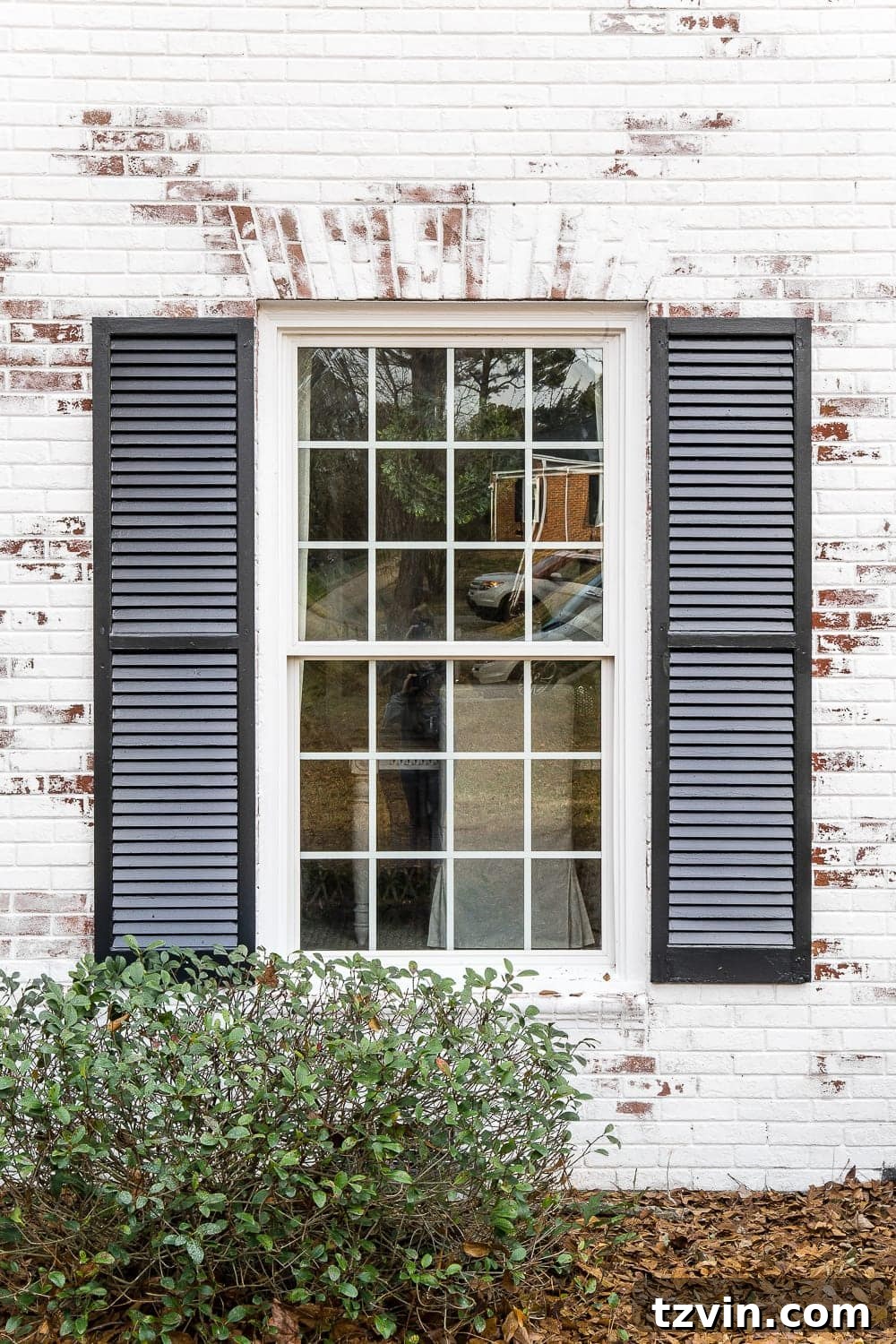 limewashed brick around window with black shutters
