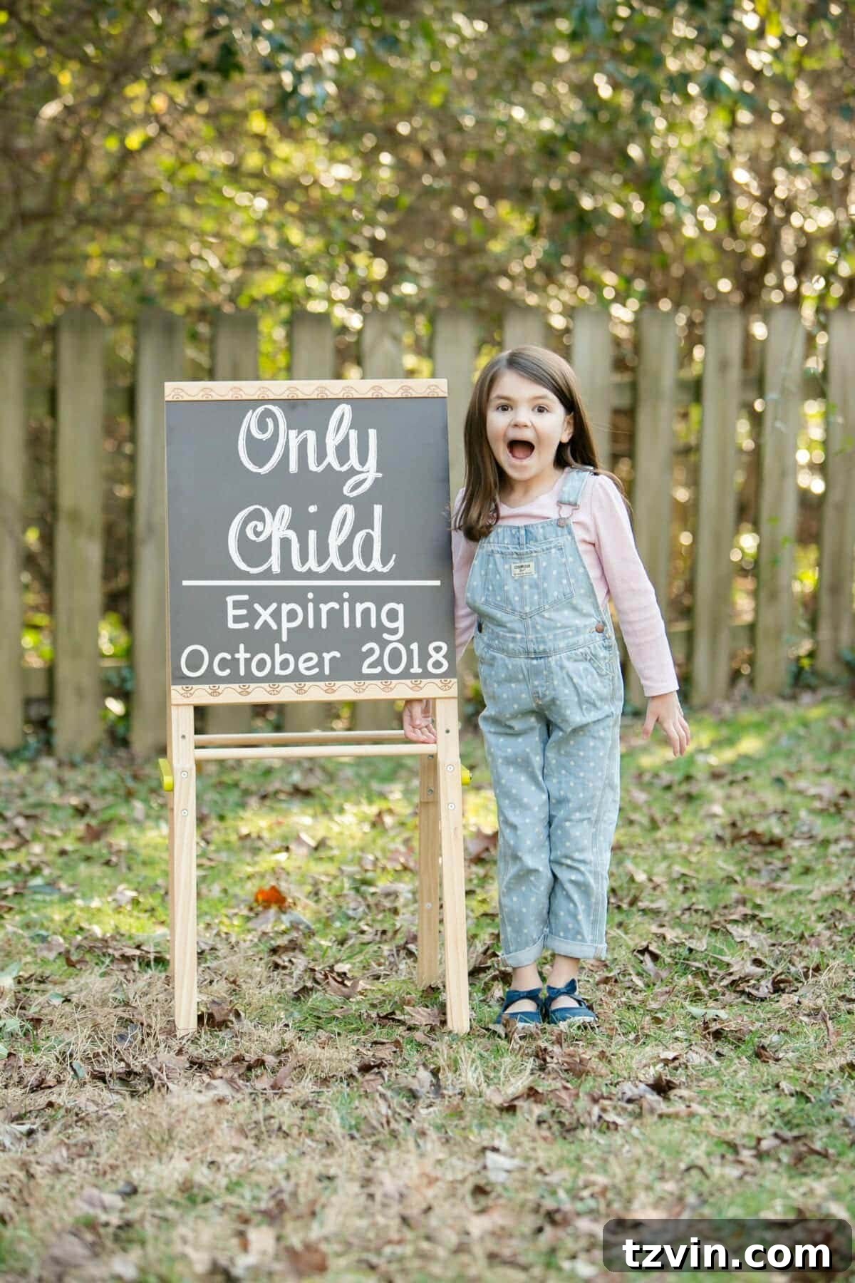 Our Next Epic DIY Challenge 4 Bless'er House pregnancy announcement - for the DIY project tackling couple #pregnancyannouncement