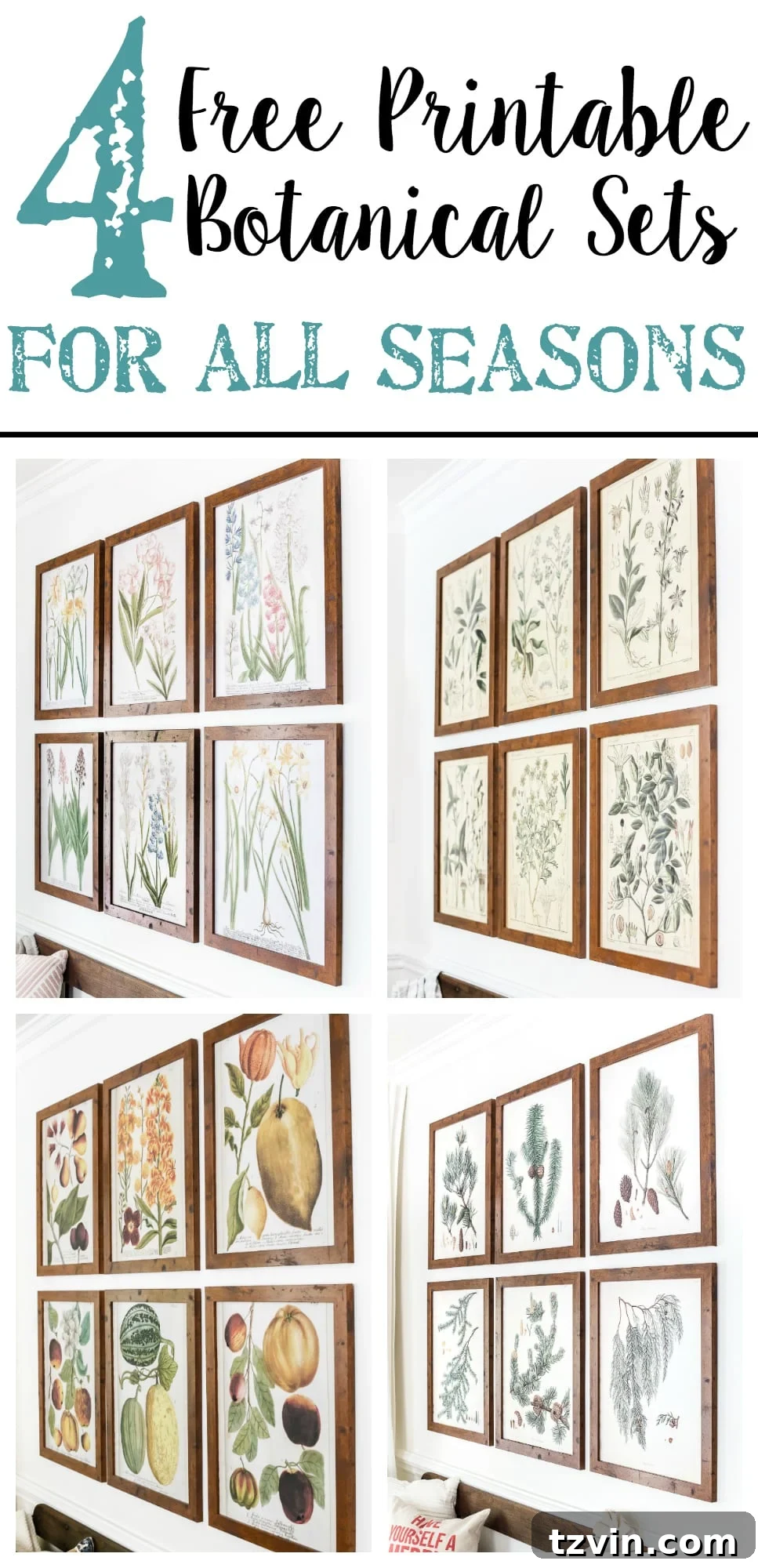 Botanical Print Sets Seasons