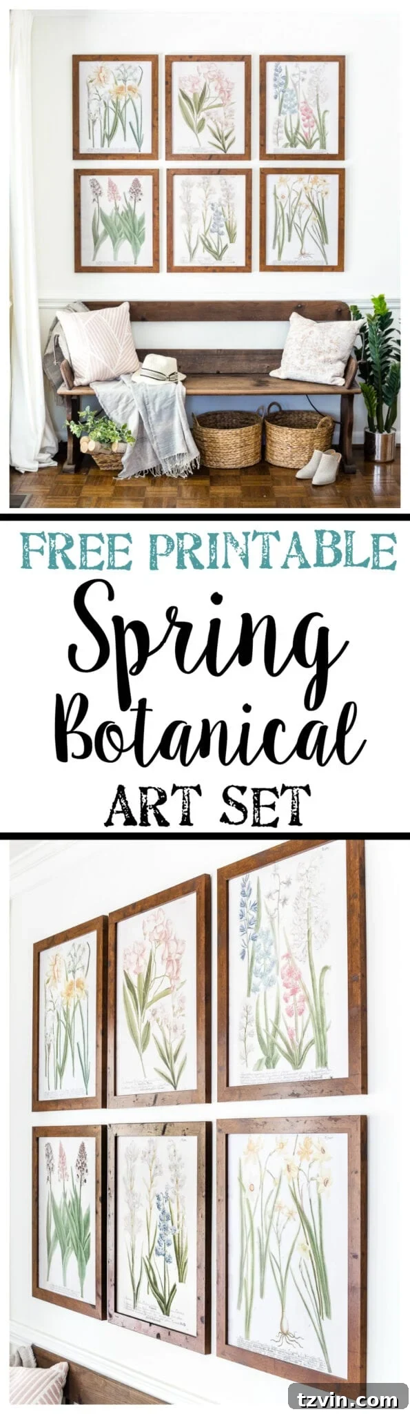 Spring Botanical Art