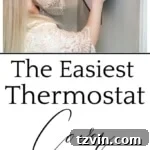 Invisible Thermostat: Performance Untouched 7 simple thermostat cover