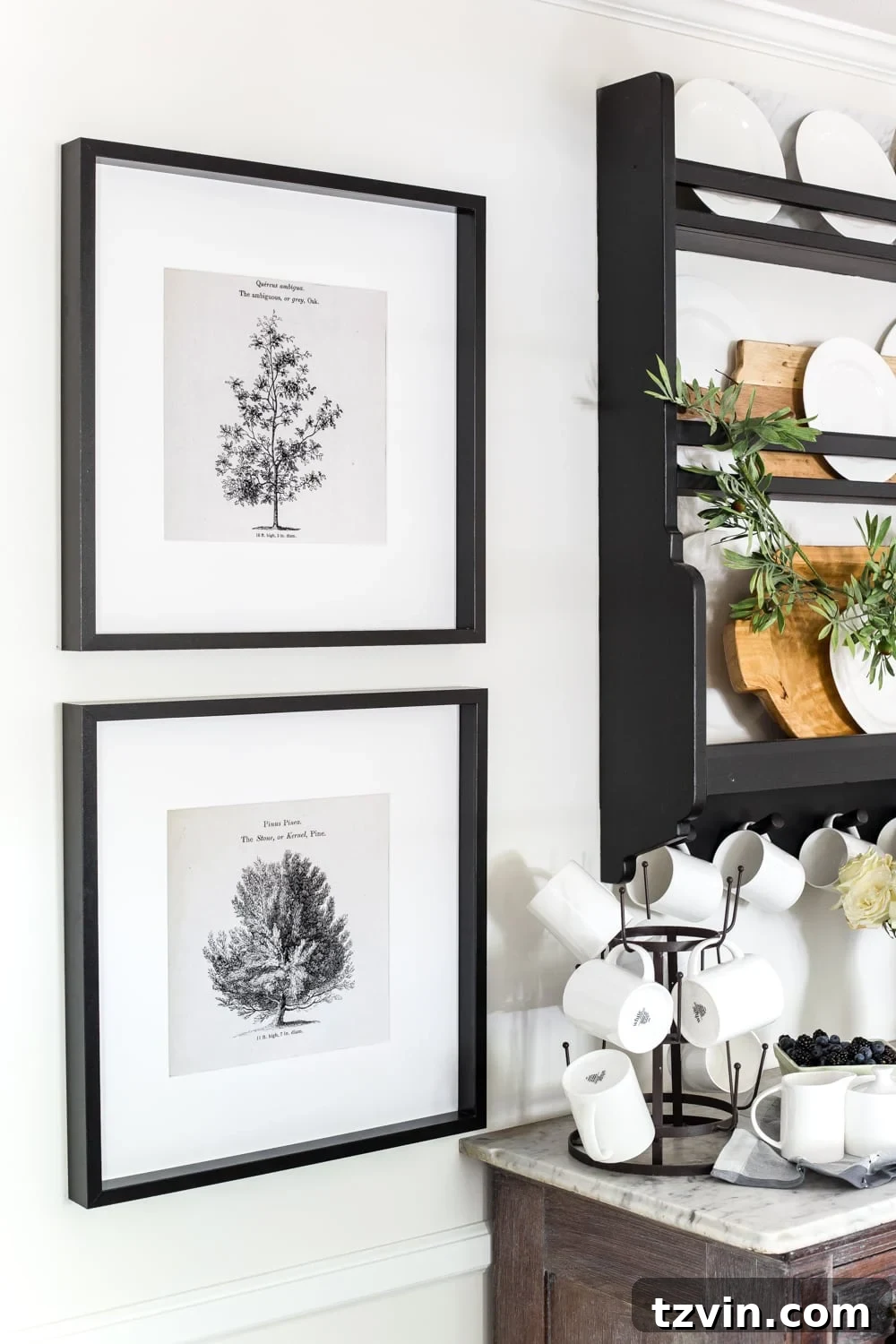 Woodland Wonder Print Pack 4 Kitchen coffee bar wall with four framed vintage tree art prints and an IKEA plate rack