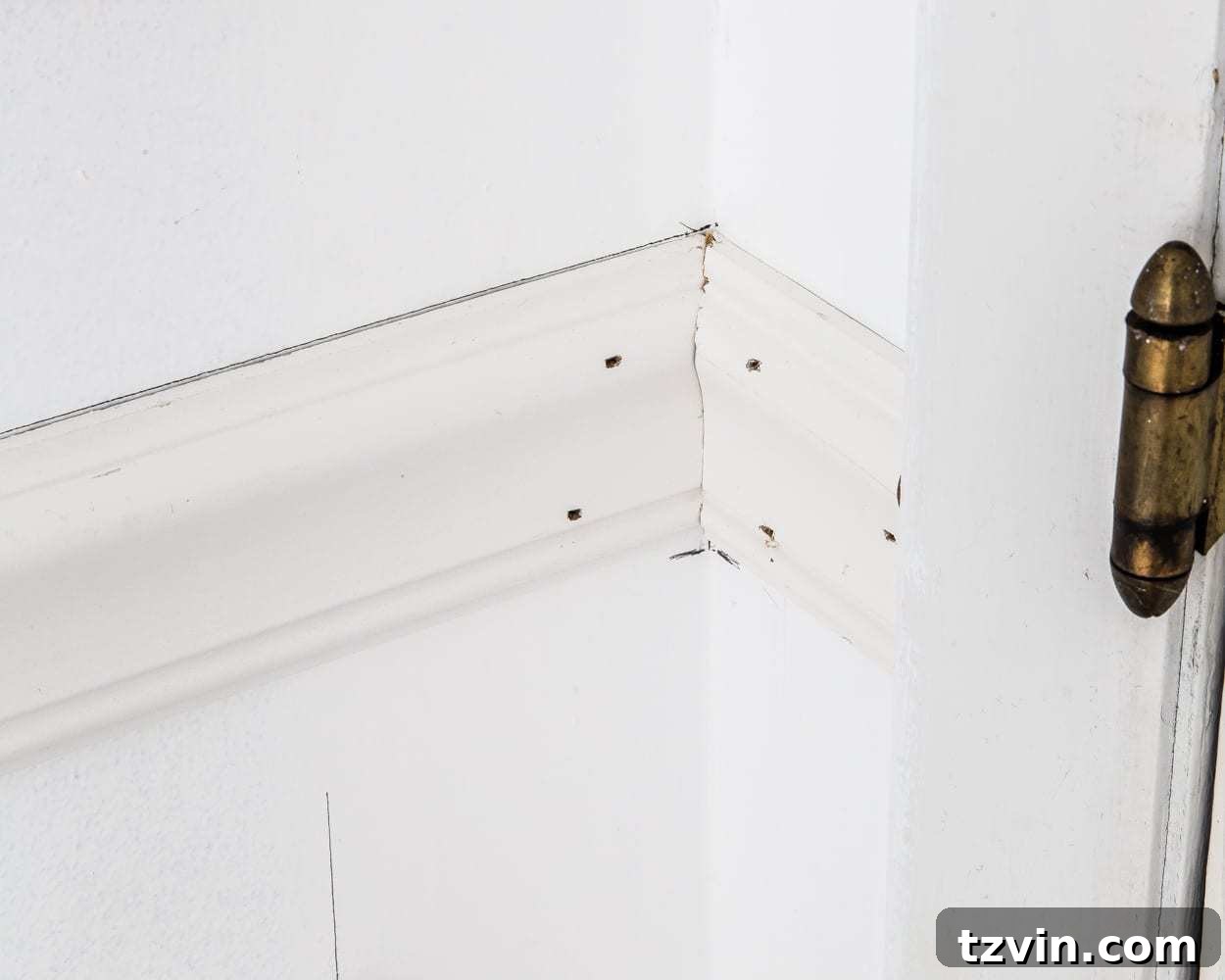 Frame Your Art: DIY Molding Mastery 6 coping corners for chair rail