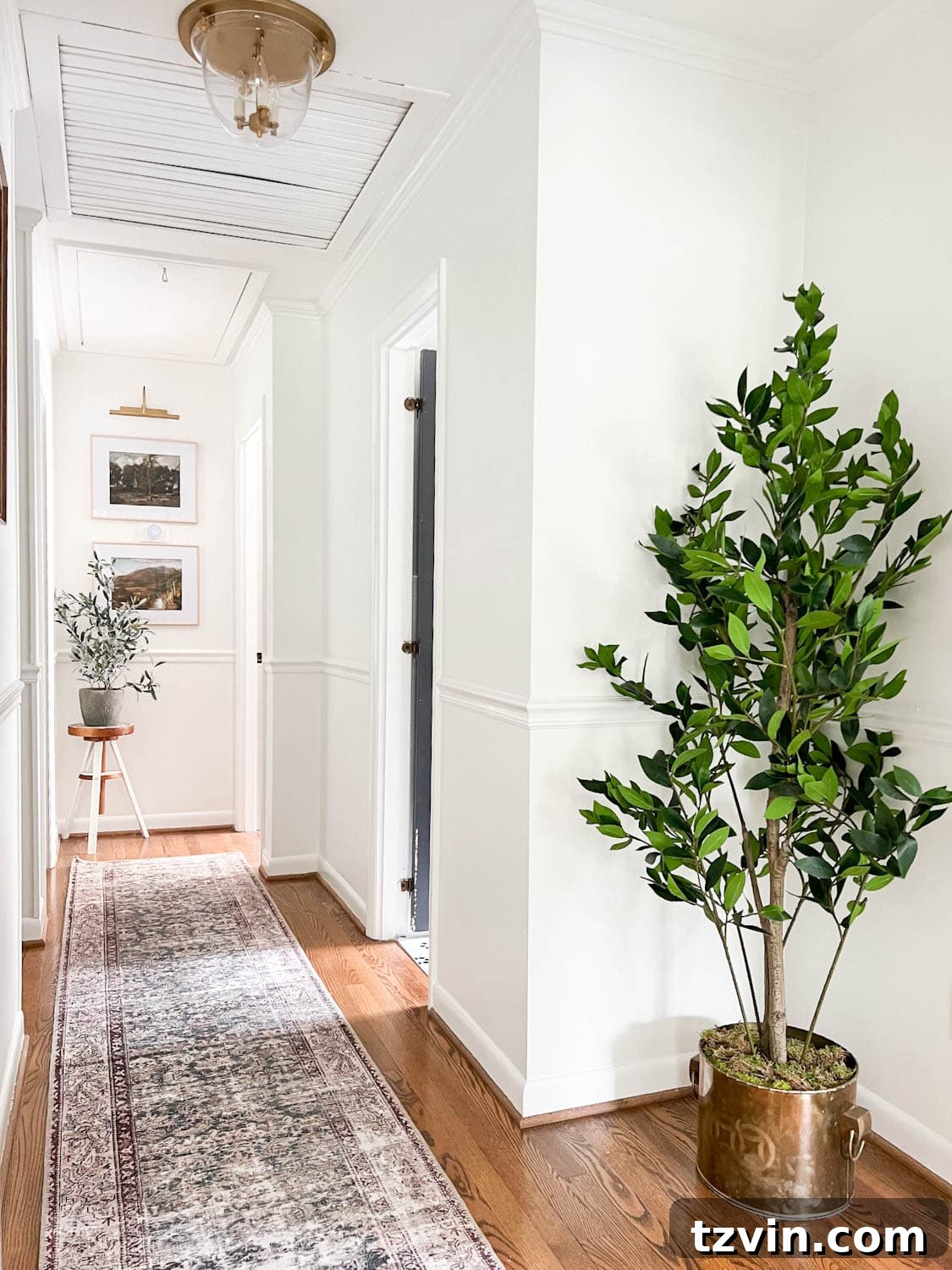 Decorate Smarter: Dodge Common Design Disasters 7 Hallway decor featuring a runner rug and vibrant houseplants